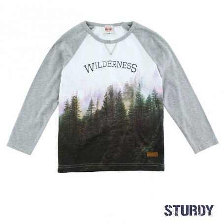 LS Shirt The Wilderness Idaho - Sturdy