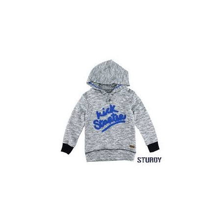 Hoody grau meliert - Sturdy