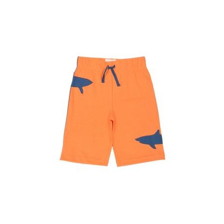 Shark Shorts Boys - Kite