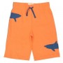 Shark Shorts Boys - Kite