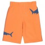 Shark Shorts Boys - Kite