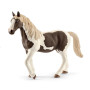 Pinto Stute - Schleich